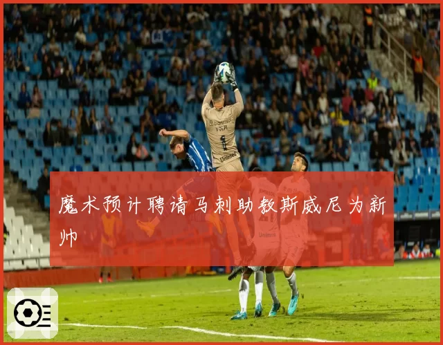 魔术预计聘请马刺助教斯威尼为新帅